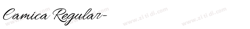 Camica Regular字体转换 Camica Regular字体转换